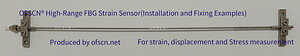 OFSCN Alloy Tube Packaged Fiber Bragg Grating Strain Sensor Image 3