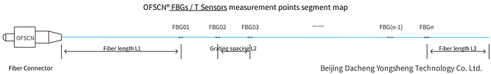 FBG Sensor Measurement Points Segmentation Diagram
